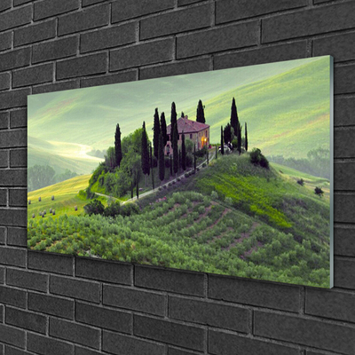 Quadro de vidro Árvores do Prado Natureza