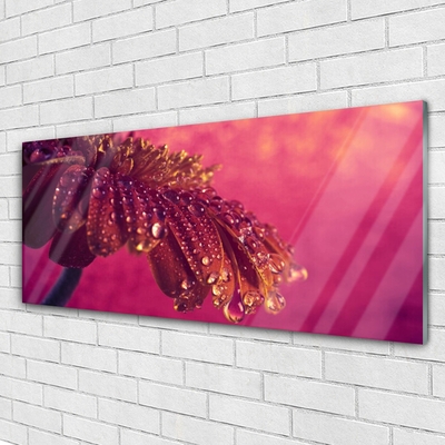 Quadro de vidro Árvore Natureza Planta