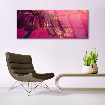 Quadro de vidro Árvore Natureza Planta