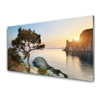 Quadro de vidro Paisagem de árvores de lago