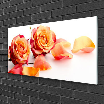 Quadro de vidro Planta de flores rosas