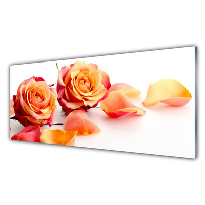 Quadro de vidro Planta de flores rosas