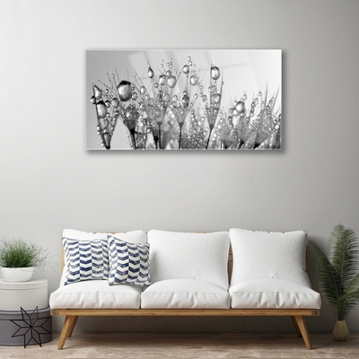 Quadro de vidro Abstração Planta Natureza