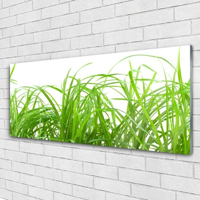 Quadro de vidro Natureza da planta grama