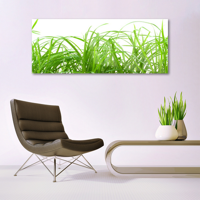 Quadro de vidro Natureza da planta grama