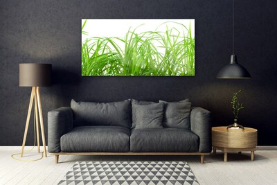 Quadro de vidro Natureza da planta grama