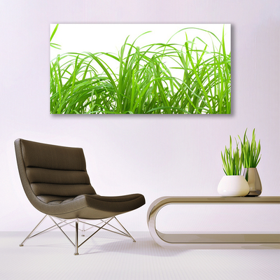 Quadro de vidro Natureza da planta grama