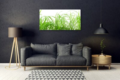 Quadro de vidro Natureza da planta grama