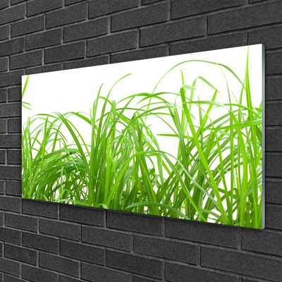 Quadro de vidro Natureza da planta grama