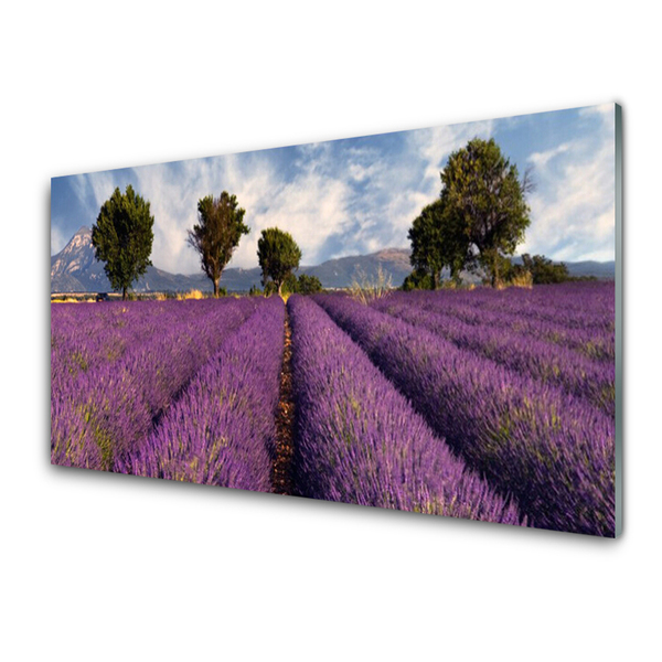 Quadro de vidro Árvores do Prado Natureza