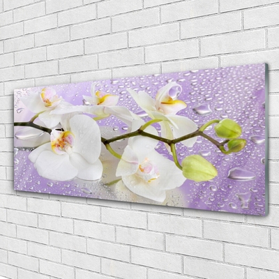Quadro de vidro Flores Planta Natureza