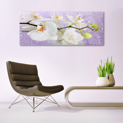 Quadro de vidro Flores Planta Natureza
