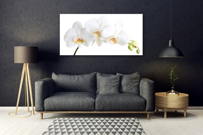Quadro de vidro Flores Planta Natureza