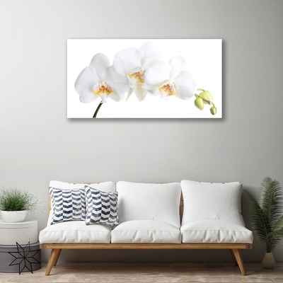 Quadro de vidro Flores Planta Natureza
