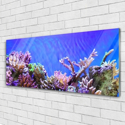 Pintura em vidro Natureza dos recifes de corais