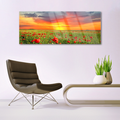 Quadro de vidro Papoulas Sol Planta Natureza