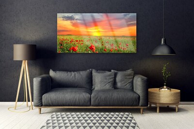 Quadro de vidro Papoulas Sol Planta Natureza