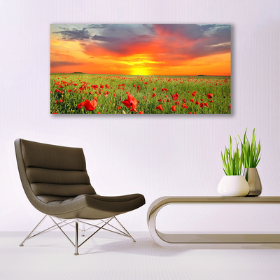 Quadro de vidro Papoulas Sol Planta Natureza
