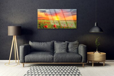 Quadro de vidro Papoulas Sol Planta Natureza