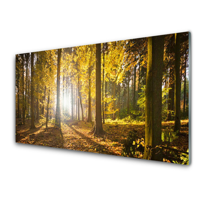 Quadro de vidro Folhas da Floresta Planta Natureza