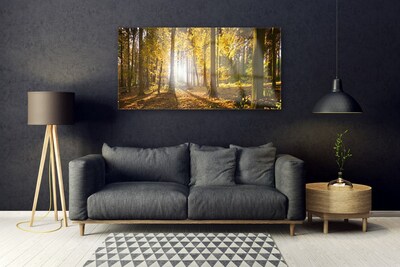 Quadro de vidro Folhas da Floresta Planta Natureza