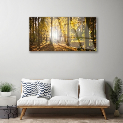 Quadro de vidro Folhas da Floresta Planta Natureza
