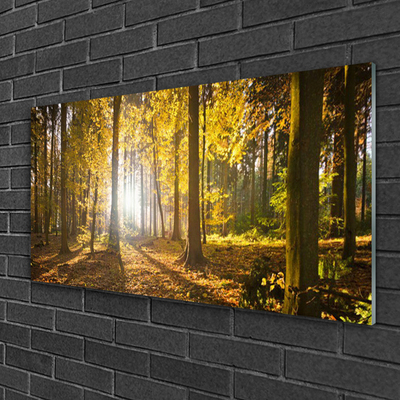 Quadro de vidro Folhas da Floresta Planta Natureza