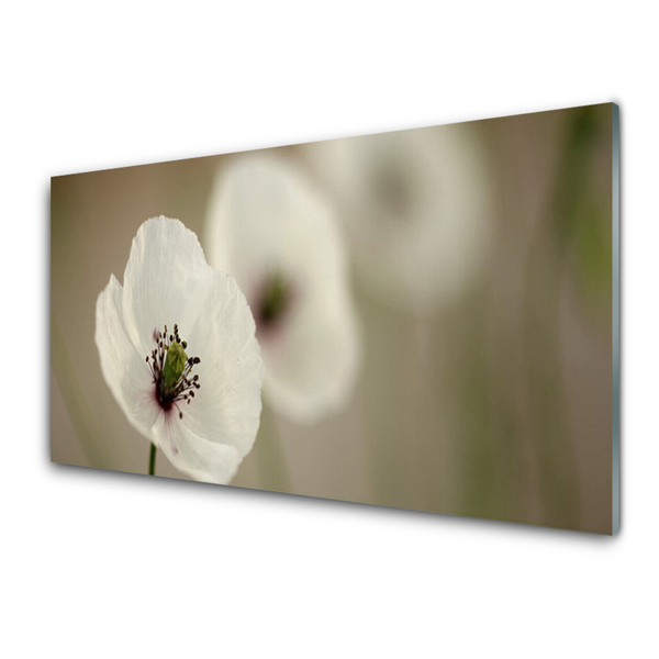 Quadro de vidro Flor Planta Natureza