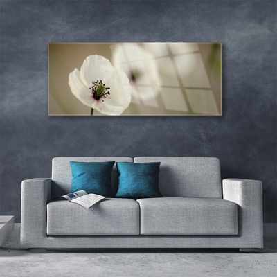 Quadro de vidro Flor Planta Natureza