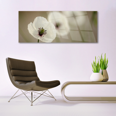 Quadro de vidro Flor Planta Natureza