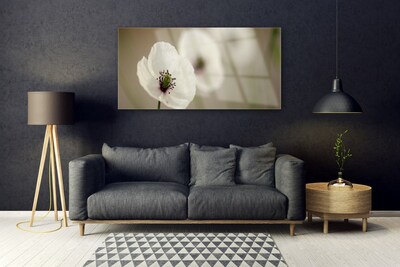 Quadro de vidro Flor Planta Natureza