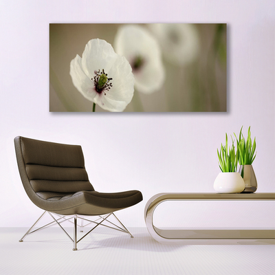 Quadro de vidro Flor Planta Natureza