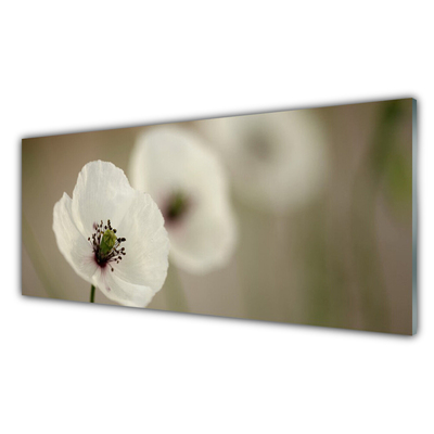 Quadro de vidro Flor Planta Natureza