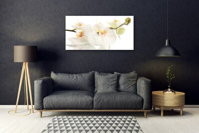 Quadro de vidro Flores Planta Natureza