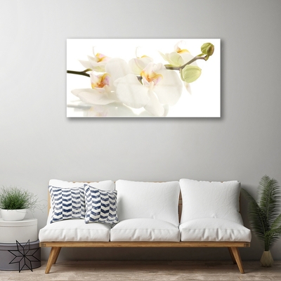 Quadro de vidro Flores Planta Natureza