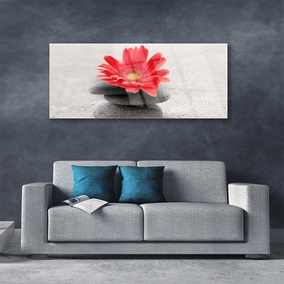 Quadro de vidro Flor gérbera