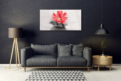 Quadro de vidro Flor gérbera