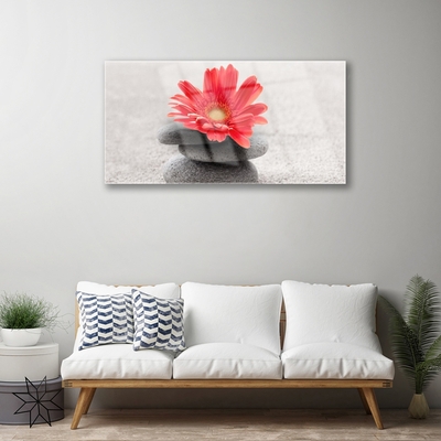 Quadro de vidro Flor gérbera