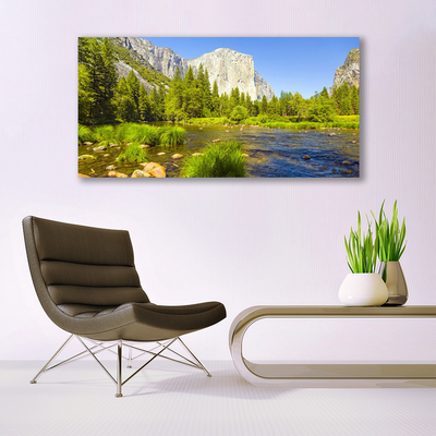 Quadro de vidro Lago Montanha Floresta Natureza