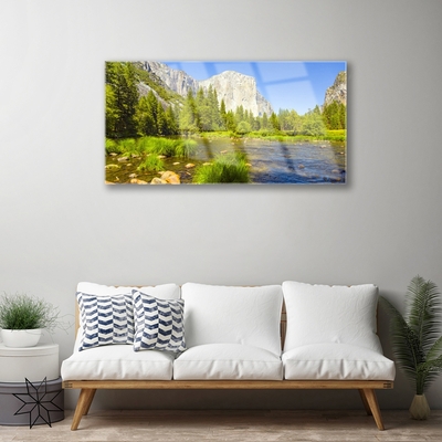 Quadro de vidro Lago Montanha Floresta Natureza