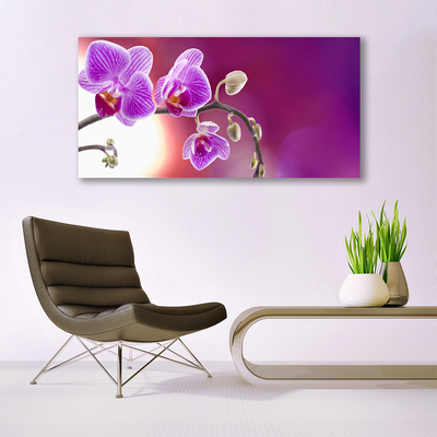 Quadro de vidro Flores Planta Natureza