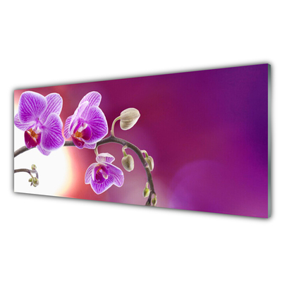 Quadro de vidro Flores Planta Natureza