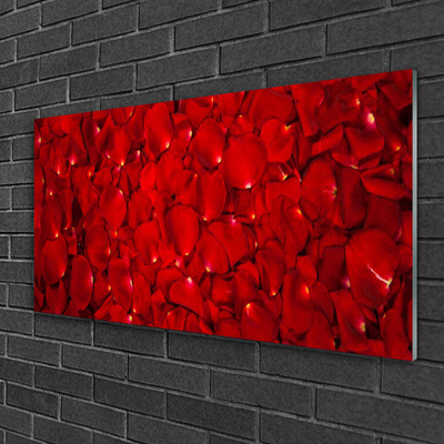 Pintura em vidro Pétalas Planta Natureza