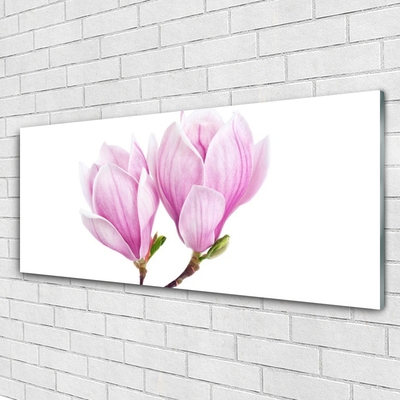 Quadro de vidro Flor Planta Natureza