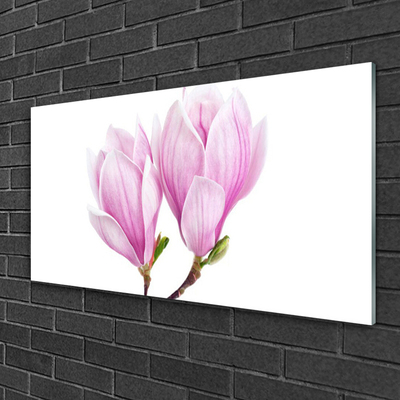 Quadro de vidro Flor Planta Natureza