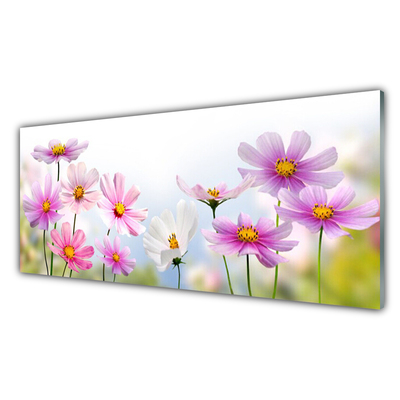 Quadro de vidro Flores Planta Natureza