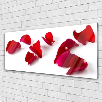 Pintura em vidro Pétalas Planta Natureza