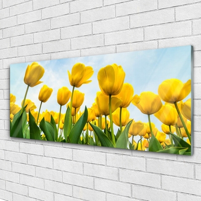 Quadro de vidro Tulipas Flores Planta
