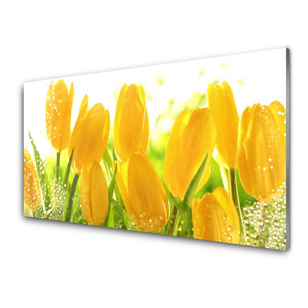 Quadro de vidro Tulipas Flores Planta