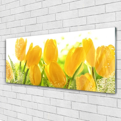 Quadro de vidro Tulipas Flores Planta
